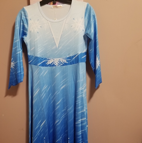 Elsa Outfit size 150 - Picture 1 of 2